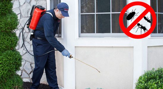 Doğançay Böcek İlaçlama böcek ilaçlama ve haşere kontrolü — ilaclama-tr.com